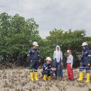 Wujudkan Aksi Nyata, PT Timah Tanam Ratusan Ribu Mangrove Dukung Target Net Zero Emission