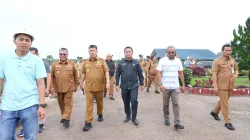 Pastikan Distribusi dan Harga Stabil, Gubernur Hidayat Arsani Tinjau Produksi Minyak Sawit di Belitung Timur