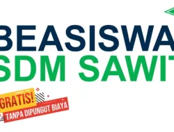 11 Siswa di Bangka Selatan Terima Beasiswa BPDPKS 2025