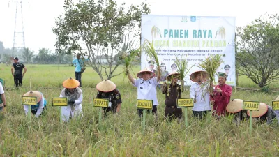 Panen Raya Jaksa Mandiri Pangan, Gubernur Babel Hidayat Arsani Tegaskan Babel Menuju Kedaulatan Pangan Berkelanjutan