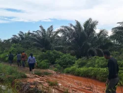 SP3AT Lahan Sawah LP2P Alih Fungsi jadi Kebun Sawit Fiktif, Kades Serdang Laporkan Pemalsuan Tanda Tangan